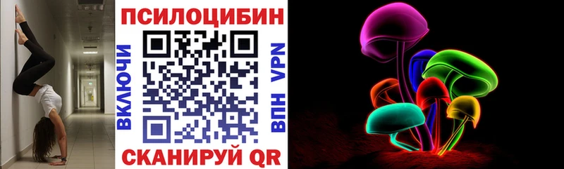 OMG маркетплейс  Тутаев  Псилоцибиновые грибы Cubensis  где найти наркотики 